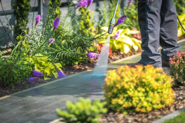Best Deck and Patio Pressure Washing in Greensburg, LA